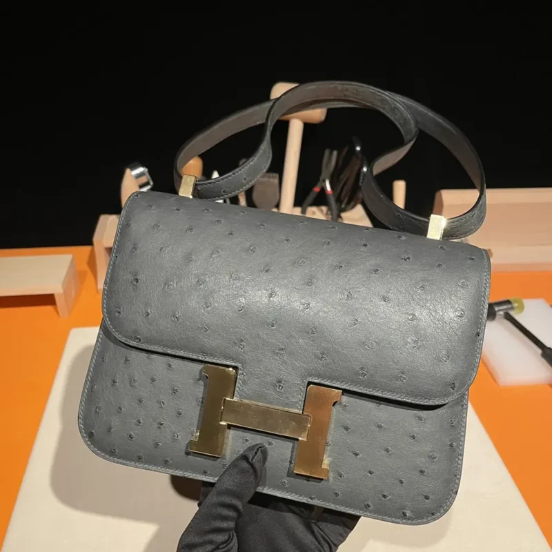 Hermes Women Constance 24 Bag Nata Ostrich Leather-Silver/Gold
